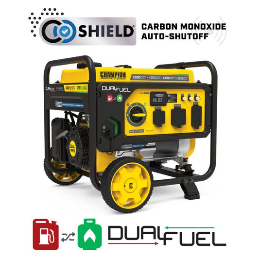 4250W Dual Fuel Generator