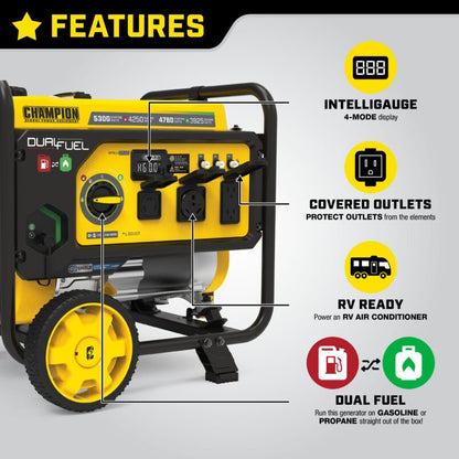 4250W Dual Fuel Generator