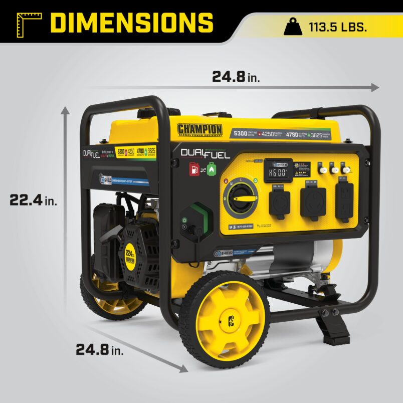 4250W Dual Fuel Generator